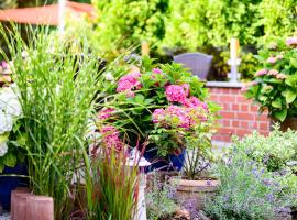 Hotel zur Seemöwe, hotel v destinaci Insel Poel