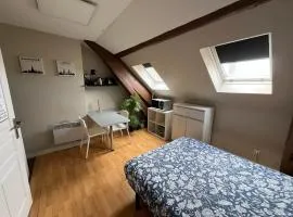 Studio rénové gare Dijon
