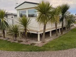 Palm trees and the sea
