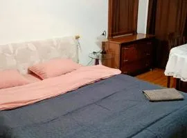 1 double room Комната для двоих Center Park