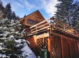 Cabana "Trei Brazi " Retezat, hotel v destinaci Rîu de Mori