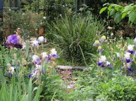 La Gallina Felice B&B, hotel v destinaci Meta