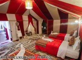 Sahara Luxurious Tented