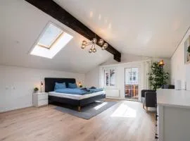 Large apt in town center next to Brunngasse & near lake