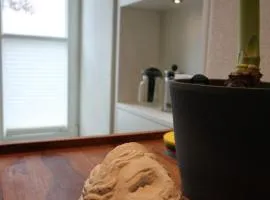 Haart & Soul Guesthouse - Ausoniusufer 22