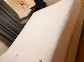 Springfield garden-Celtic park