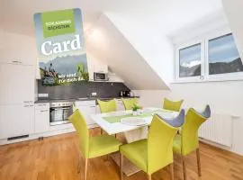 Peak Access Haus im Ennstal - by myNests