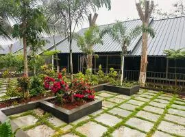 1000 SILVERS -Farm Stay