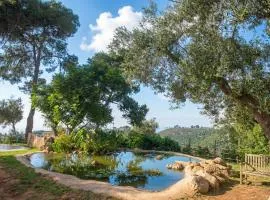 Beit Oren Hotel