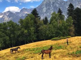 Guesthouse in Lankhvri, хотел в Местия