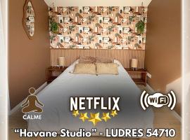 Havane Studio - Ludres, Hotel in Ludres