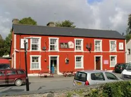 Y Llew Coch Tregaron