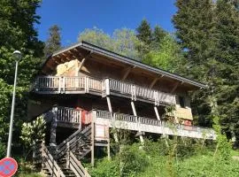 Chalet neuf spa et sauna