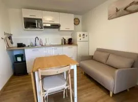 Hulot-838-Iodine parenthesis