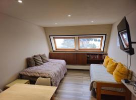 Departamento dentro del centro de sky Valle de Las Leñas, Edificio Esparta โรงแรมในลาสลินาส