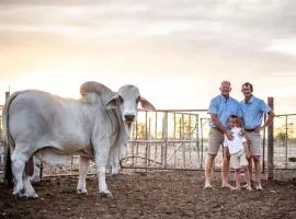 Tarentaal Guest Farm