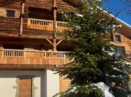 Chalet with traditional Manigod Mazot