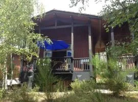 Chalet dans les pins