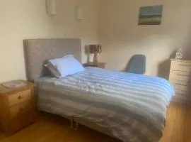 Carleton Village Youghal