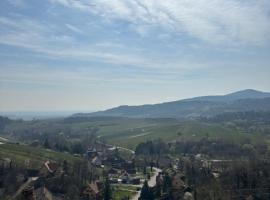 La maison Hansel & Gretel - Vignoble d'Alsace, hotel em Bernardvillé