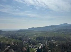 La maison Hansel & Gretel - Vignoble d'Alsace