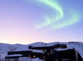 Luxuary Fjord Cabin with Sauna and Northern Light