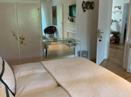 Geräumiges Gästezimmer, Hotel in Mespelbrunn