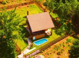 Vila Povlen 1979 - Breakfast - Swiming Pool & Mini bar