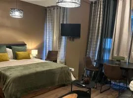 Hyper Center Strasbourg & Petite France Premium Apartment