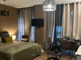 Hyper Center Strasbourg & Petite France Premium Apartment