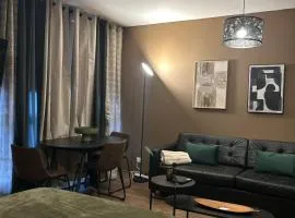 Hyper Center Strasbourg & Petite France Premium Apartment
