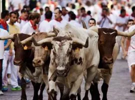 Habitación Luminosa a 10 minutos del centro y San Fermín