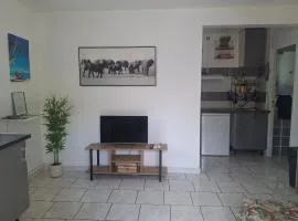 Hébergement en rez-de jardin clos proche de l'aéroport et des commodités