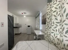 Private studio with a private bathroom and kitchenette