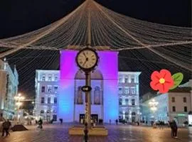 CityCore - Best choice&price