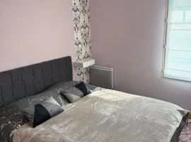 Appartement confort Villepinte gare de vert galant