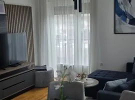 Royal apartmani Vrnjačka Banja