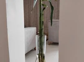 فيلا معبيلة villa VIP