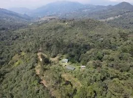 La cabaña del Búho