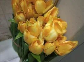 Lilly