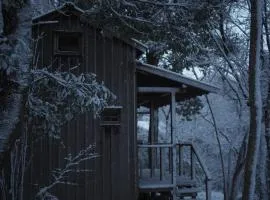 A Night at the Forest Soup Shop