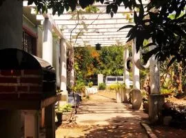 Araliya