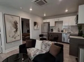 Modern Luxury - Lower Greenville