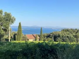 House Among Regenerative Vineyards Near Bolsena
