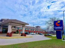 Comfort Inn & Suites Ambassador Bridge