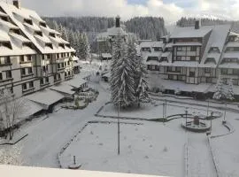 Apartments Mozaik