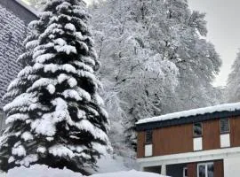 Chalet Refuge CAF Gourette