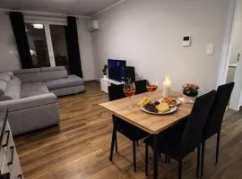 Apartament Dolina Baryczy ścieżki i trasy rowerowe