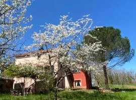 Les chambres de La Serre