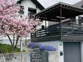 Holiday Home Aurea House